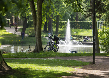 Ein Fahrrad in einem Park.
